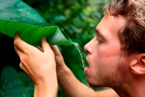 Como encontrar agua en una situación de supervivencia
