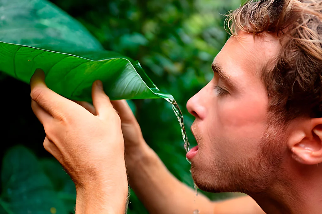 Como encontrar agua en una situación de supervivencia