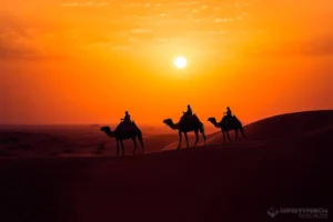 Tres jinetes a lomos de camellos bajo el sol abrasador del desierto