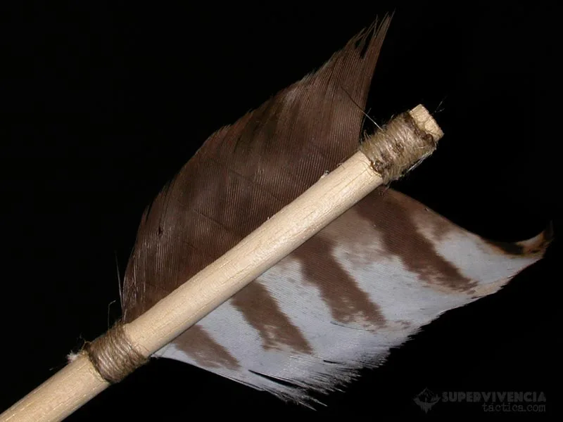 timon-de-plumas-para-felchas Como poner las plumas del tión a las flechas