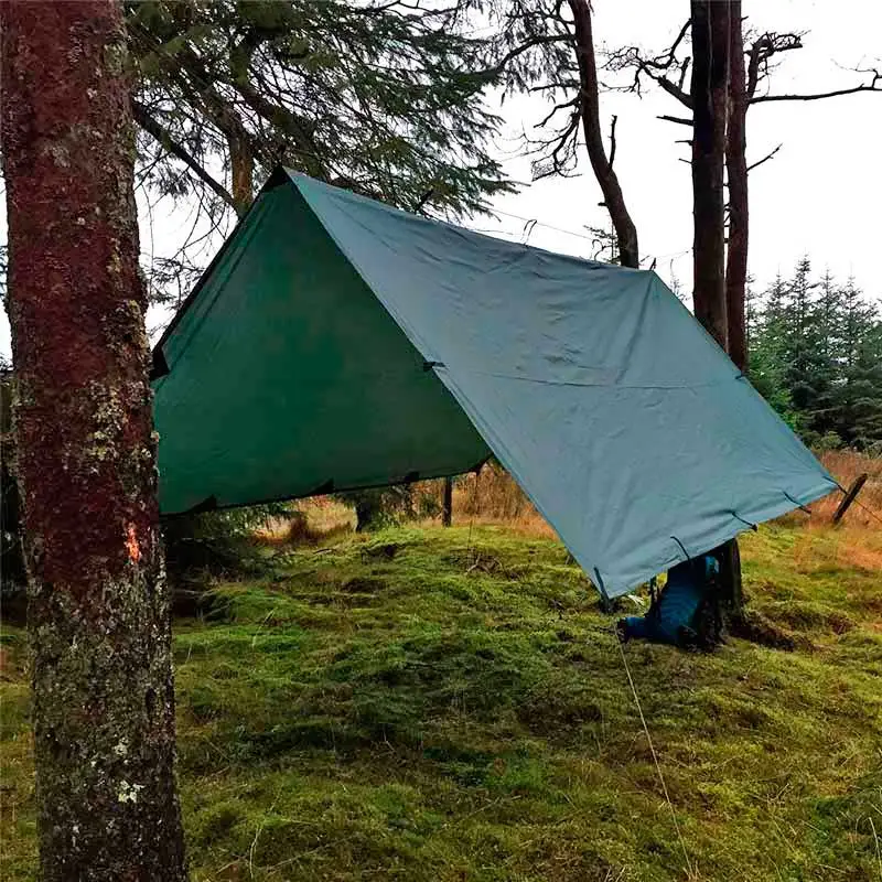 Tarp quechua