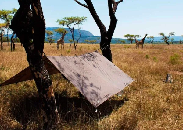 tarp_vivac-600x428 Tarp DD Hammocks 3x3